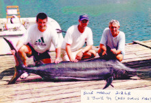 212lb marlin that dies