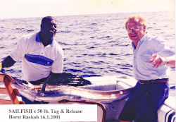 Horst's sailfish