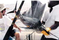 close up shot of Frank & his sailfish held by Leslie