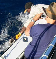 George holds a sailfish by the boat for Mr king