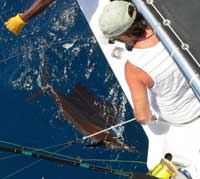 Richard Webb watches his sailfish by the boat