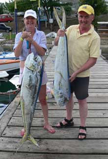 dorado caught on Yes Aye Grenada