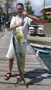 nice dorado caught on Yes Aye grenada