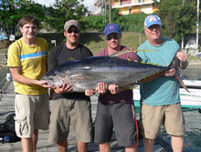 yellowfin tuna