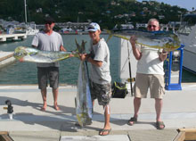 True blue Sportfishing offers great dorado fishing in Grenada!