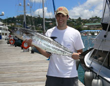 king mackerel