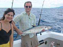 king mackerel