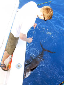 we love sailfish fishing in grenada