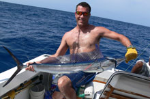 spearfish are the rarest billfish we catch on yes aye Grenada