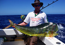 BIG dorado caught by true blue Sportfishing