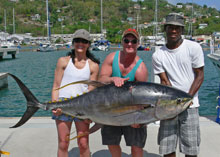 big game fishing for yellowfin tuna in grenada on yes aye