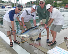 yellowfin tuna