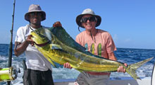 tasty big dorado in grenada on yes aye