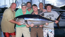 yellowfin tuna