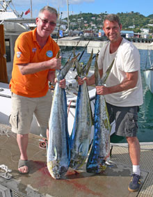 tasty colourful Grenada dorado caught on yes Aye