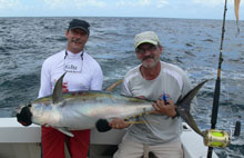 yellowfin tuna