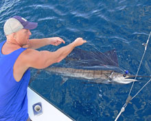 epic sailfish in grenada on Yes aye