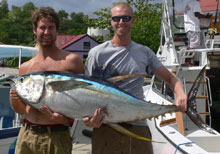 yellowfin tuna in grenada on yes aye