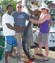 yellowfin tuna