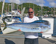 Big Grenada dorado caught on true blue sportfishing