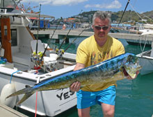 tasty colourful dorado, catch some with true blue sportfishing