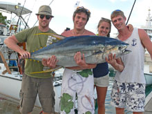 yellowfin tuna