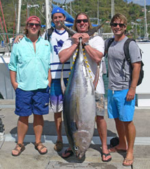 yellowfin tuna