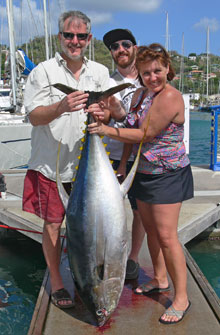 yellowfin tuna