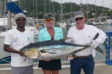 yellowfin tuna