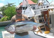 yellowfin tuna