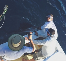 Grenada sailfish action - True blue Sportfishing