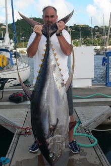 grenada yellowfin tuna onboard Yes aye