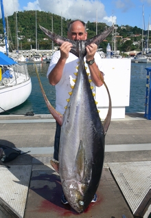 grenada yellowfin tuna onboard Yes aye
