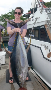 grenada yellowfin tuna onboard Yes aye