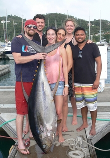 grenada yellowfin tuna onboard Yes aye