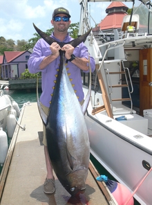 grenada yellowfin tuna onboard Yes aye