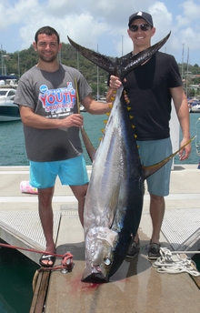 grenada yellowfin tuna onboard Yes aye