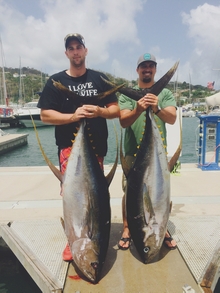 grenada yellowfin tuna onboard Yes aye