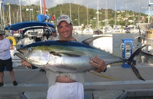 grenada yellowfin tuna onboard Yes aye