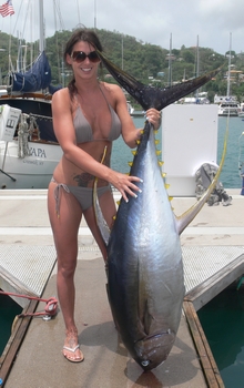 grenada yellowfin tuna onboard Yes aye