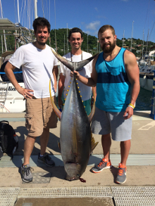 grenada yellowfin tuna onboard Yes aye