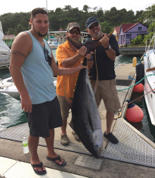 Grenada yellowfin tuna action on Yes Aye