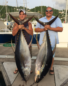 Grenada yellowfin tuna action on Yes Aye