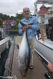 Grenada yellowfin tuna action on Yes Aye