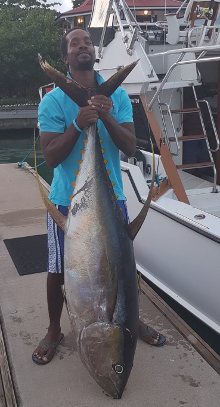 Grenada yellowfin tuna action on Yes Aye