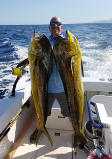 dorado