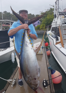 Grenada has big yellowfin tuna catch one onboard Yes Aye