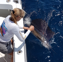 True Blue Sportfishing are Grenada sailfish experts - its what we love to do