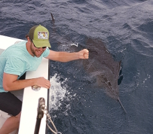 True Blue Sportfishing are Grenada sailfish experts - its what we love to do