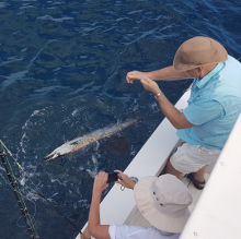 True Blue Sportfishing are Grenada sailfish experts - its what we love to do